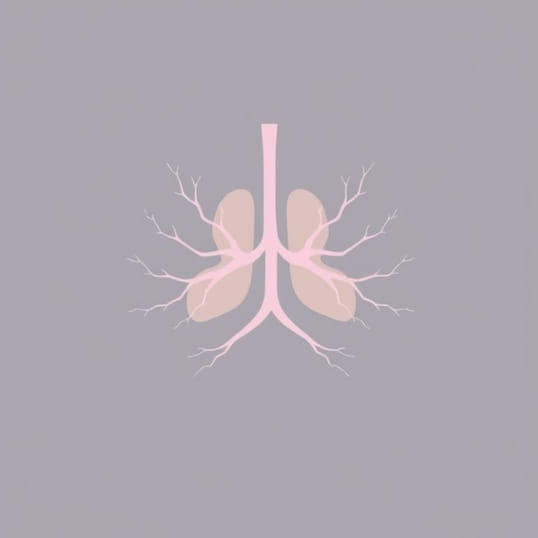 Function Of Lymphoid Organs