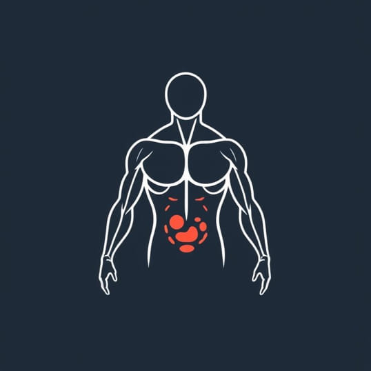 Function Of Muscle Tissue