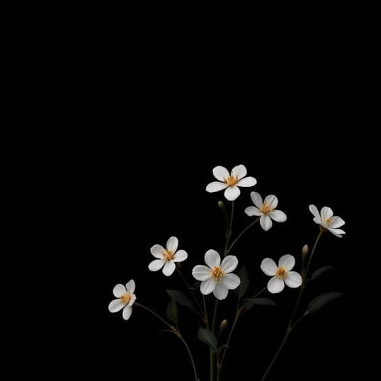 Gardenias Black Sooty Mould