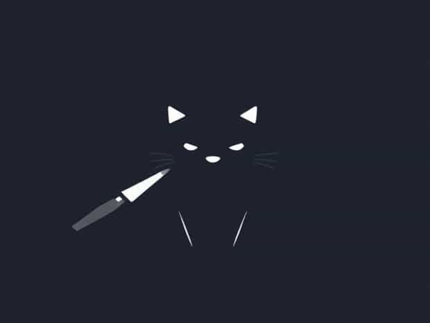 Getting A Cat Chipped