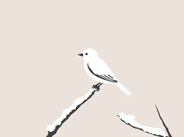 Great Or Snowy Bird