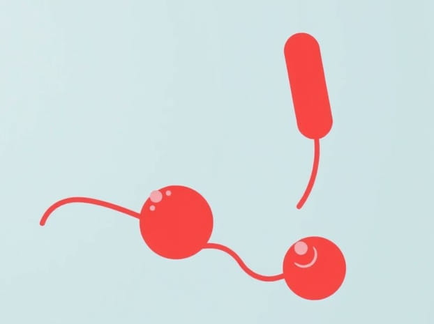 How Do Hormones Travel Through The Bloodstream