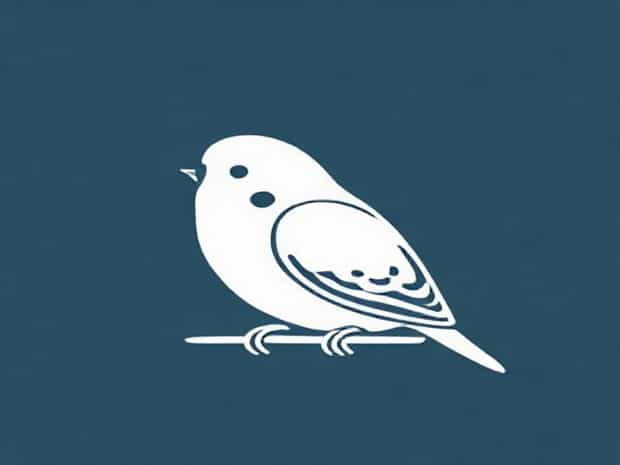 How To Care For A Budgie