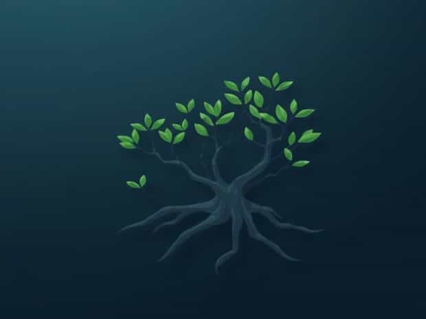 How To Get Mangrove Propagule