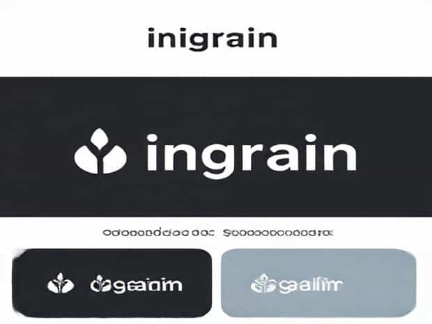 Ingrain Systems Private Limited