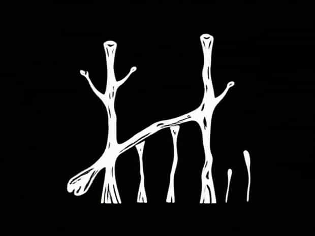 Insane Kane Knobbly Sticks