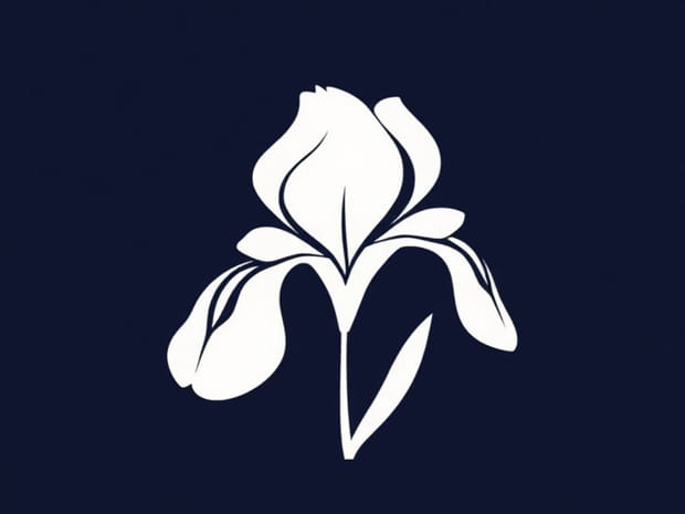 Iris X Germanica Florentina