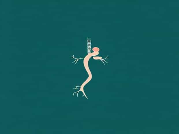 Is Arteriosclerosis A Disease