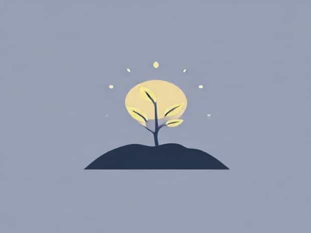 Is Photosynthesis Endothermic Or Exothermic