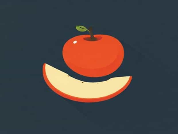 Is Samara A Fruit