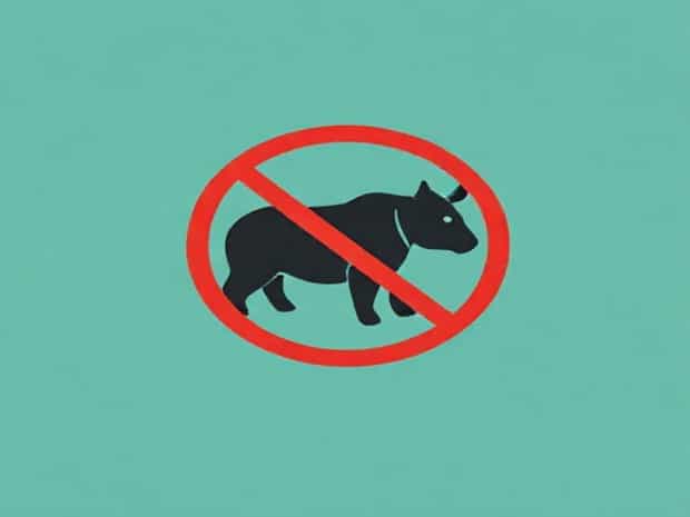 Is The Xl Bully Ban In The Uk