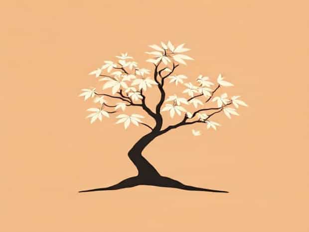 Japanese Maple Growing Conditions