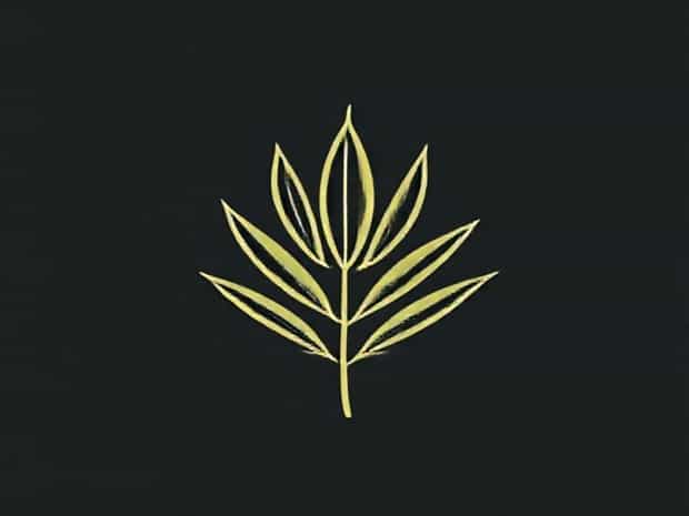 Jobe'S Organics Palm Granular