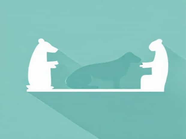 Journal Of Veterinary Anesthesia And Analgesia