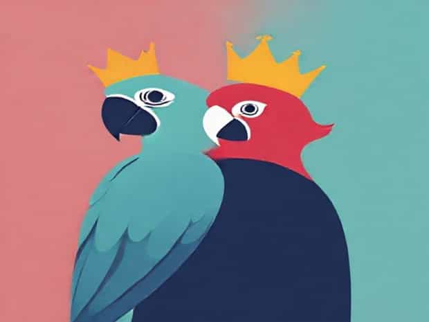 King Parrot Male Vs Female
