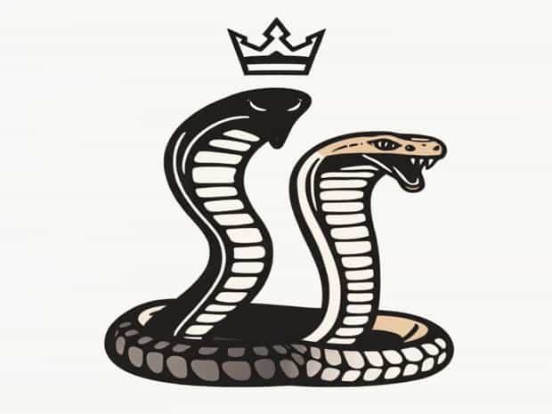 King Snake Vs Copperhead