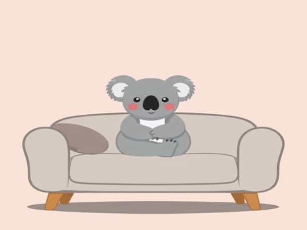 Koala Cushy Sofa Bed