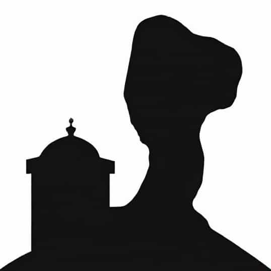 La Moneda De Moldavia