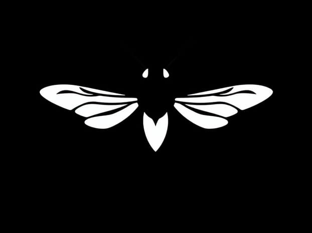 Classification Of Tsetse Fly