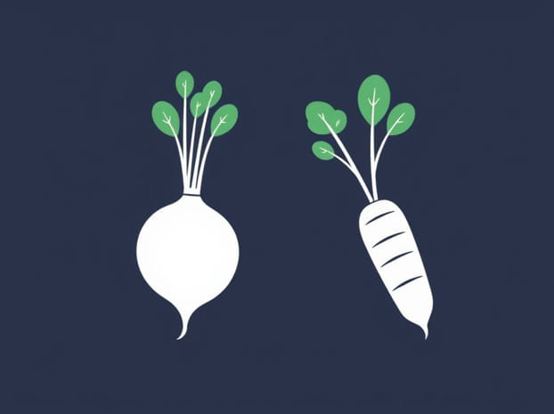 Daikon Radish Vs Parsnip