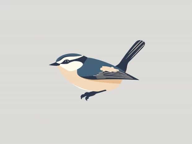 Difference Between Nuthatch And Titmouse