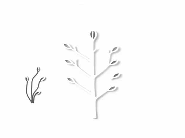 Difference Between Pruning And Plastering