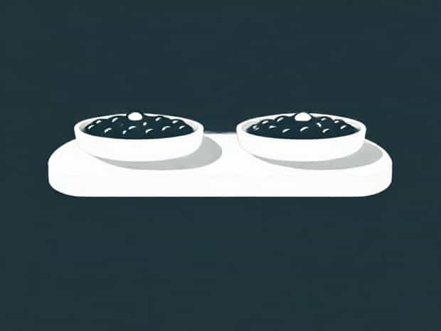 Different Types Of Caviar