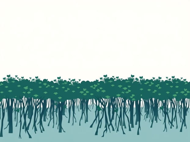 Drawing Of Mangrove Forest