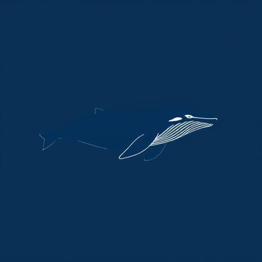 Facts About Humpback Whales