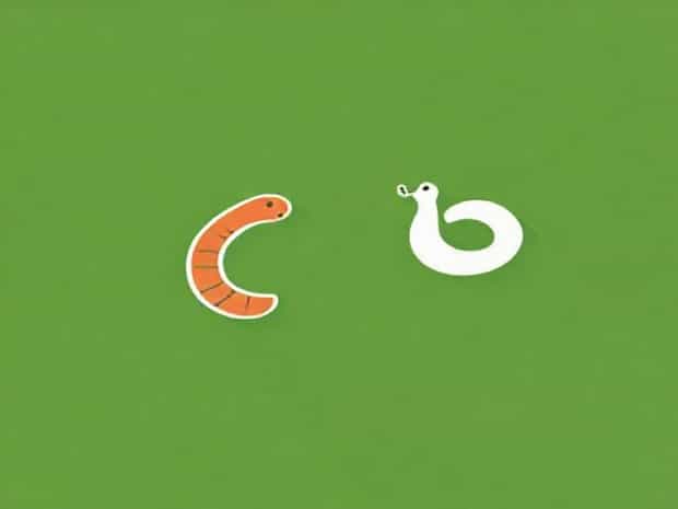 Flatworm And Roundworm Difference