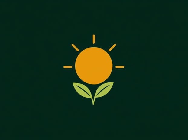 From Where Does The Energy For Photosynthesis Come