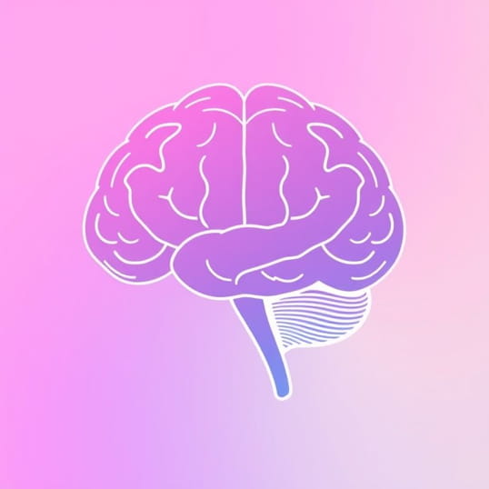 Function Of Gustatory Cortex