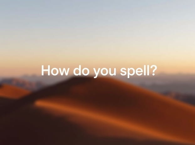 Google How Do You Spell Bother