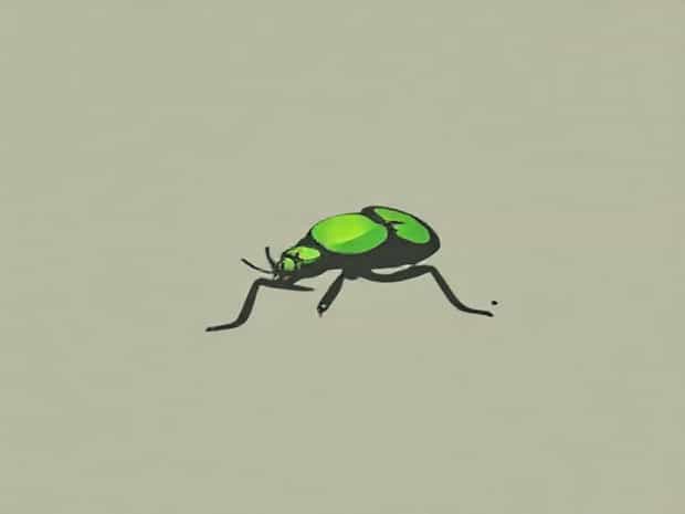 Green Pubescent Ground Beetle