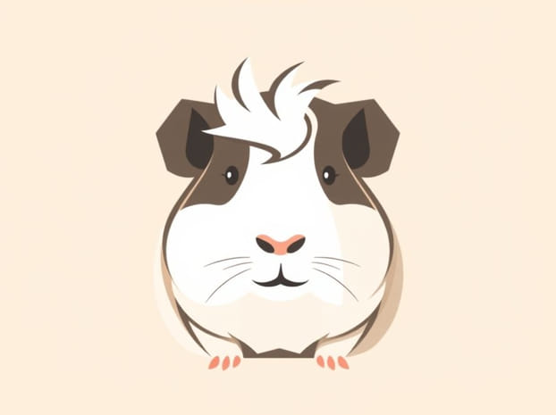 Guinea Pig With Cowlick On Head