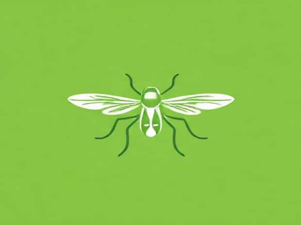 Homemade Greenfly Killer Uk