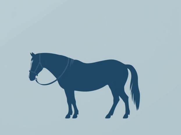 Horse Farrier Near Me