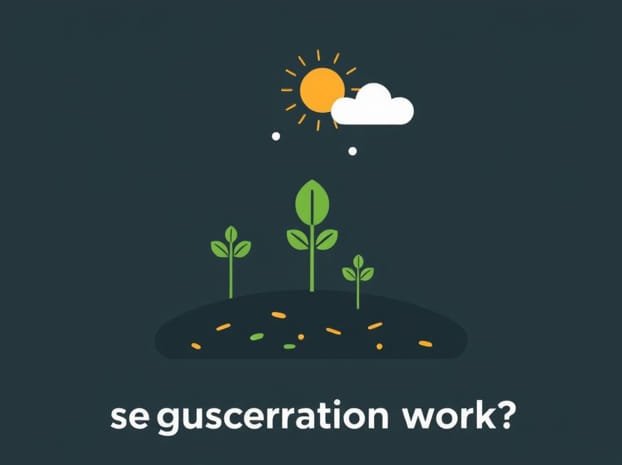 How Does Carbon Sequestration Work?