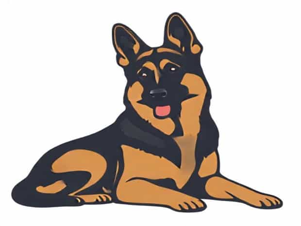How Much Is A German Shepherd Dog