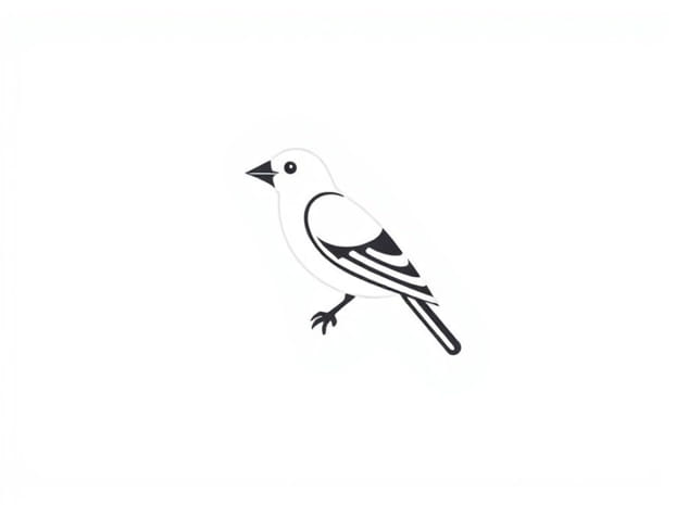How To Build An Aviary