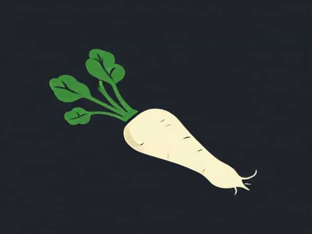 Is Parsnip A Vegetable