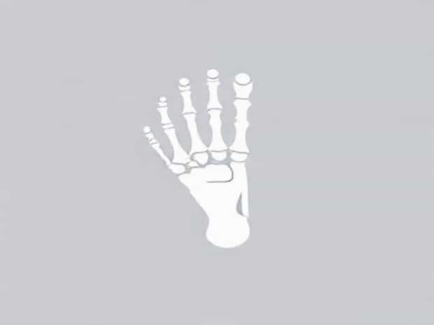 Joint Between Metatarsals And Phalanges