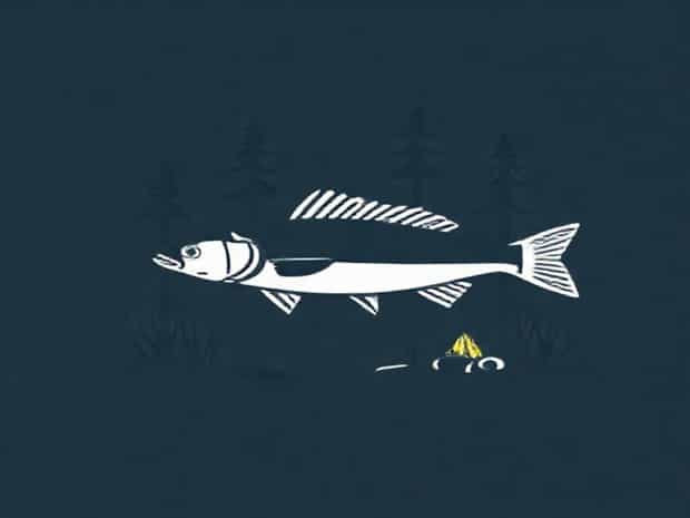 Julington Creek Fish Camp