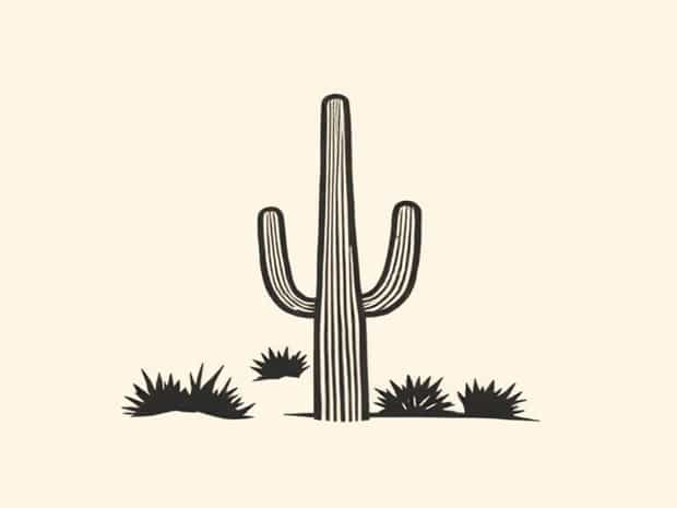 Koa Saguaro National Park