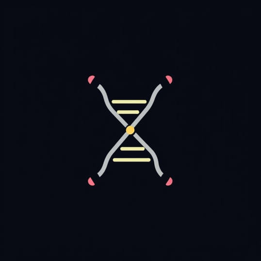 Chromatin Condense Into Chromosomes