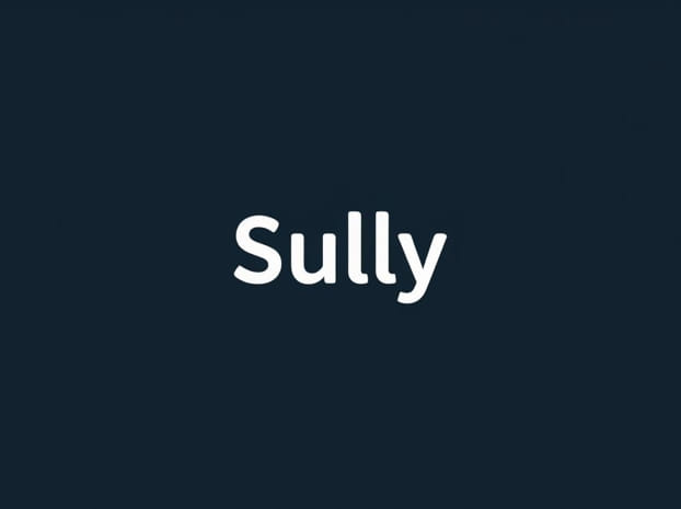 Define Sully In English