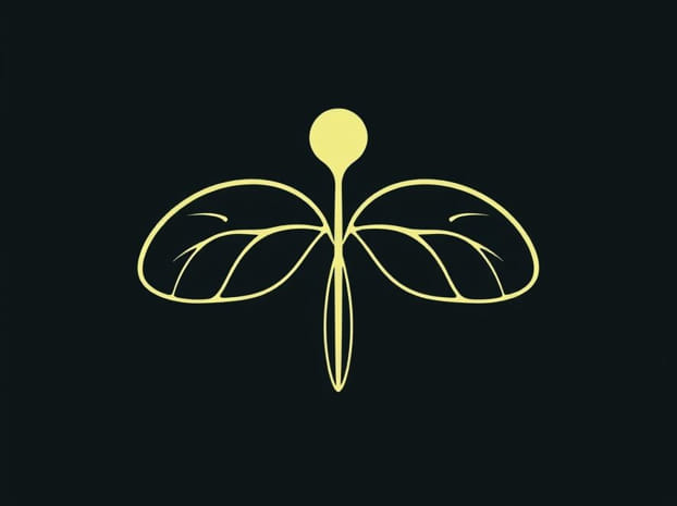 Definition Of Asymmetry In Biology