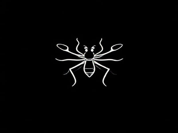 Diy Gnat Trap Indoor