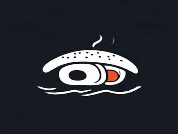 Domo Sushi Gig Harbor