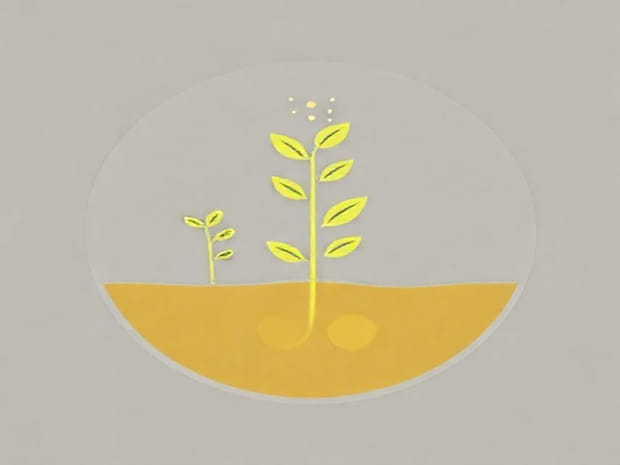 Explain The Mechanism Of Photosynthesis